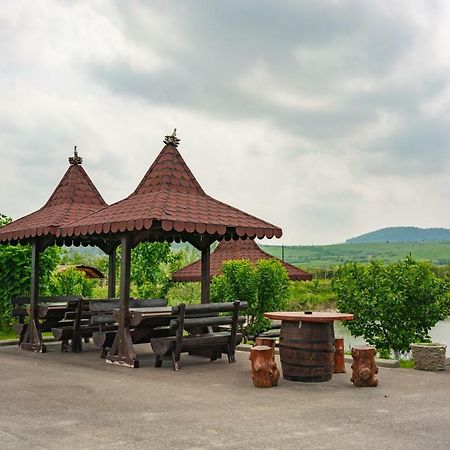 Pastravaria Ursu Vinatori-Neamt ภายนอก รูปภาพ