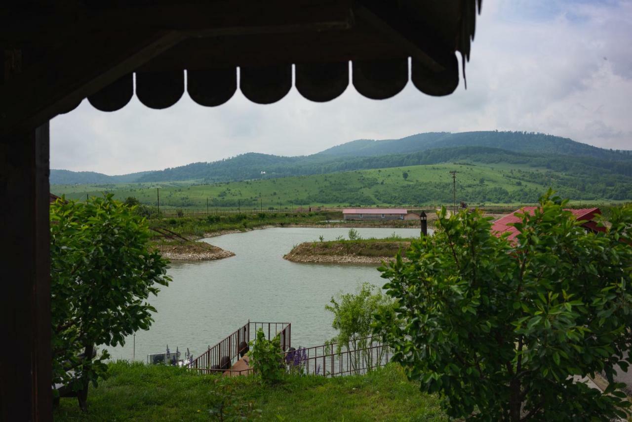 Pastravaria Ursu Vinatori-Neamt ภายนอก รูปภาพ